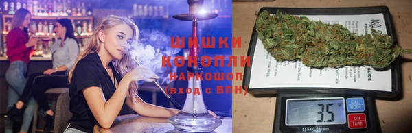 PSILOCYBIN Волосово