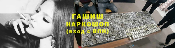 прущие грибы Вязники