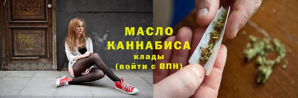 молекула духа Гатчина