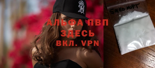 прущие грибы Гвардейск