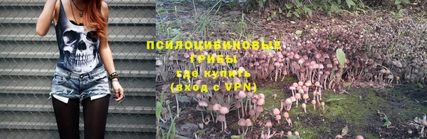 2c-b Остров