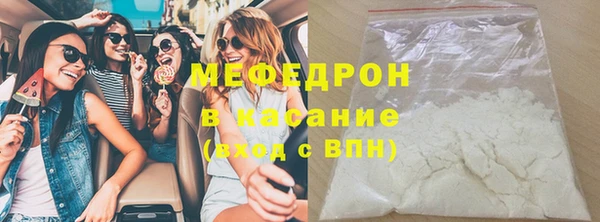 прущие грибы Гвардейск