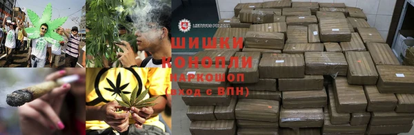 дурь Осинники