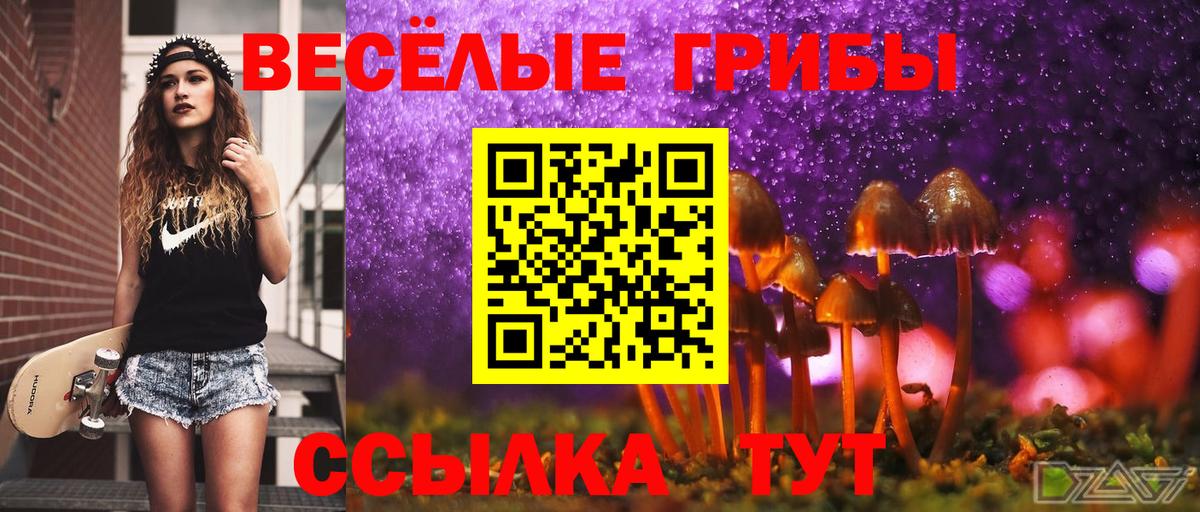 Псилоцибиновые грибы прущие грибы Минусинск